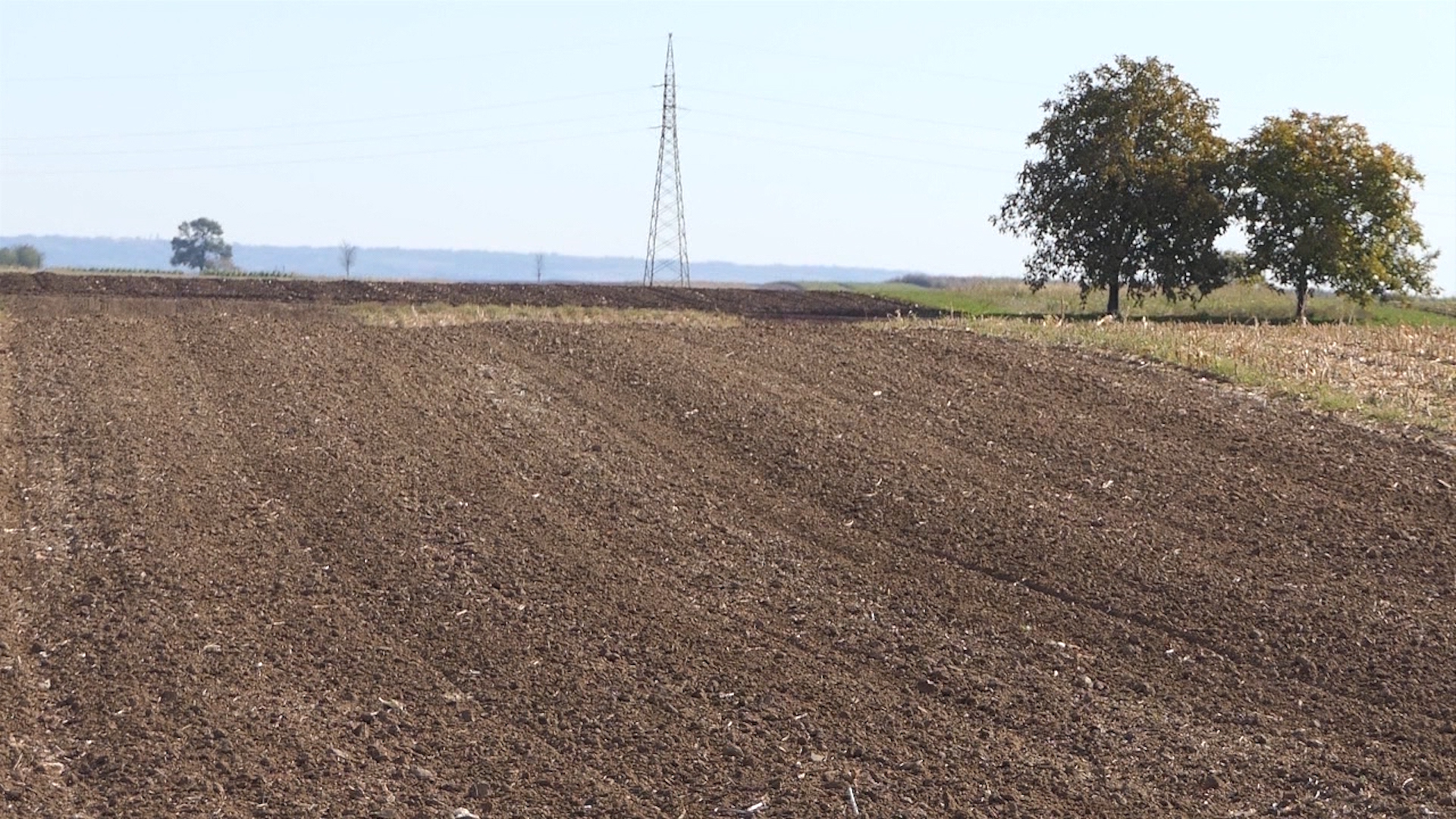 Agro dan za sredu, 15.11.2023.