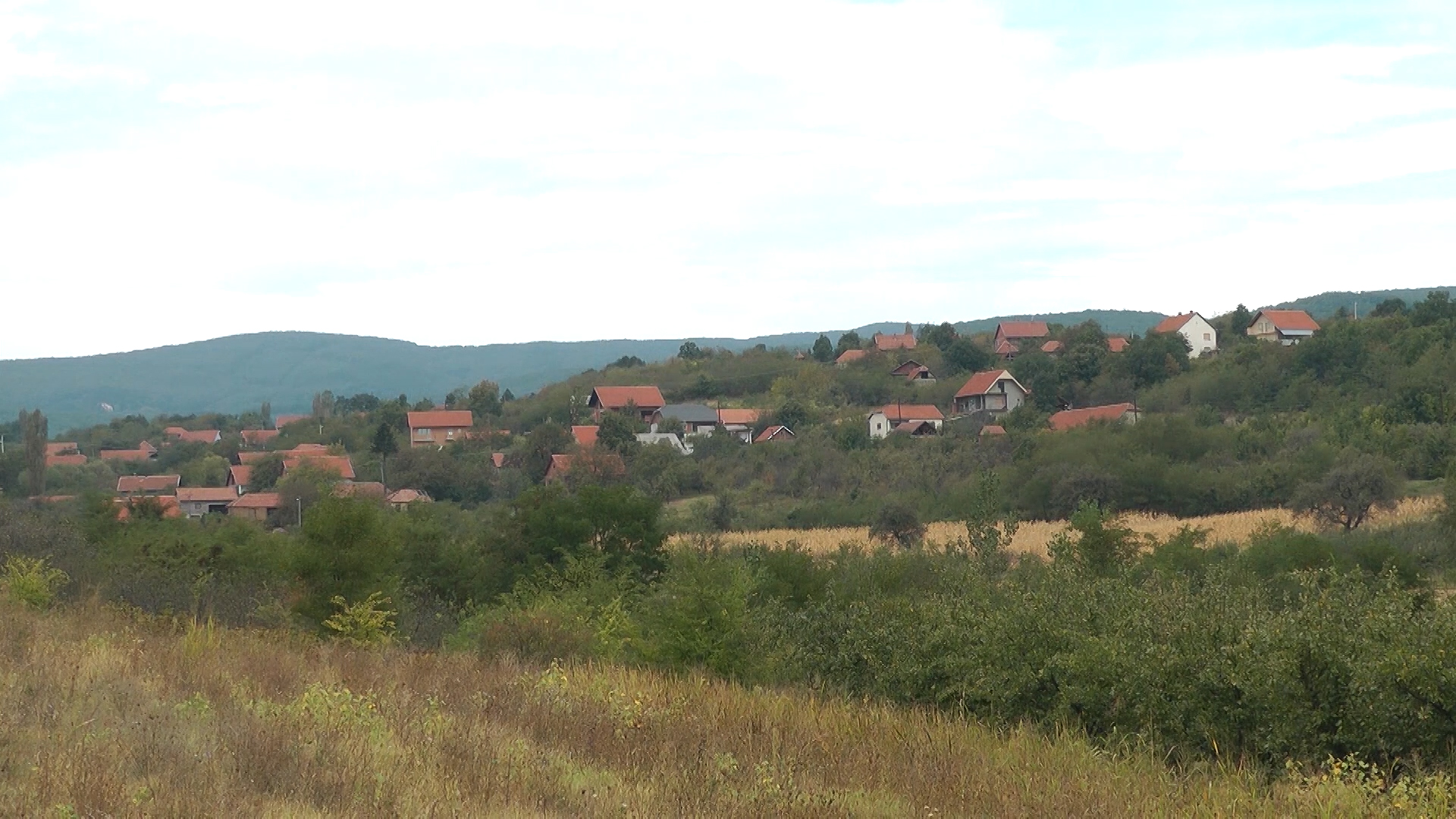 Agro DAN za petak, 29.12.2023.