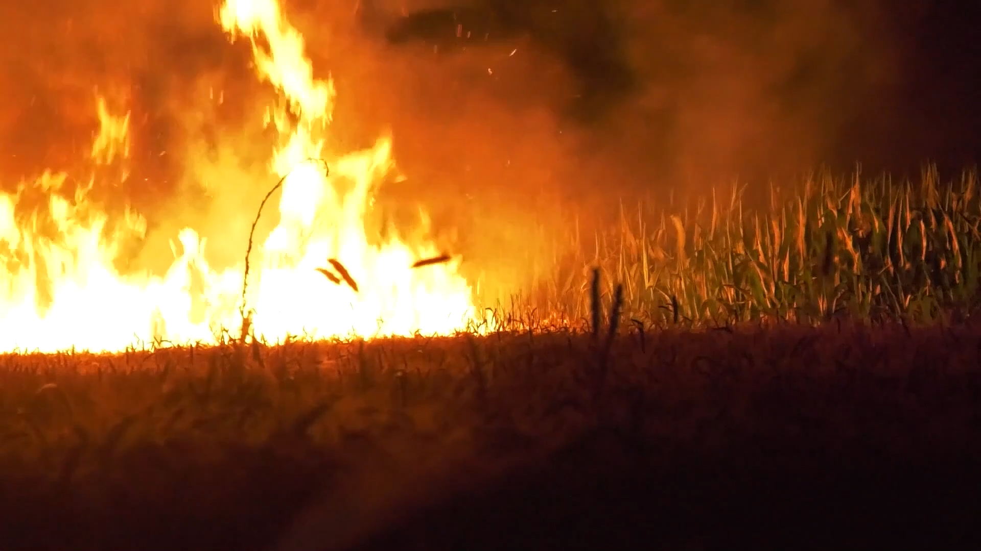 Uvode se stroge mere zaštite od požara u poljoprivredi