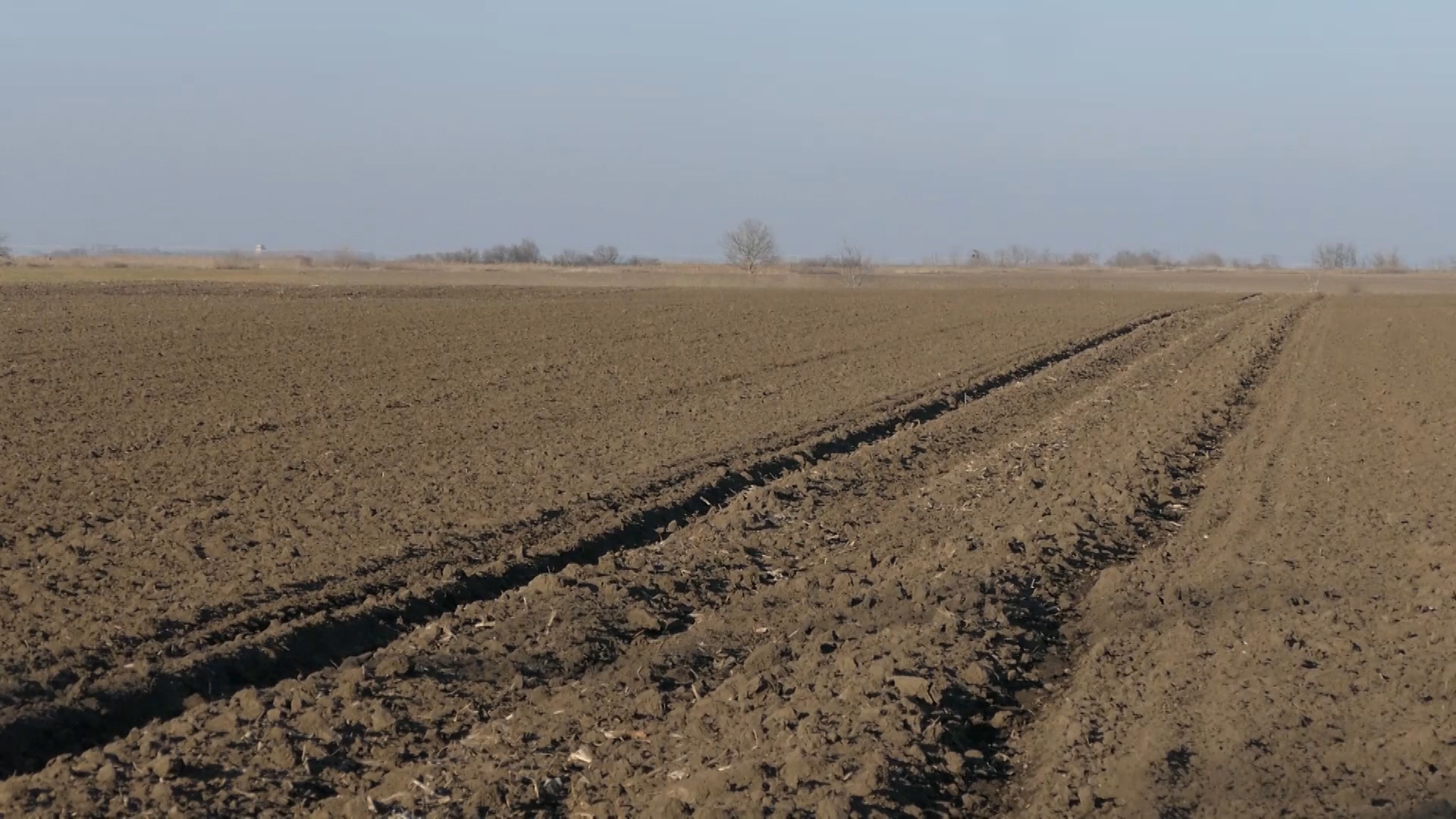 Za 50 godina u Srbiji izgubljeno 300 hiljada oranica