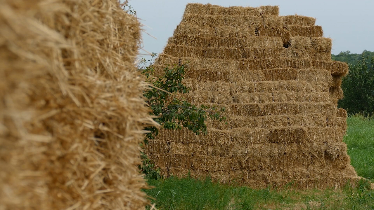 Agro DAN za četvrtak, 7.12.2023.