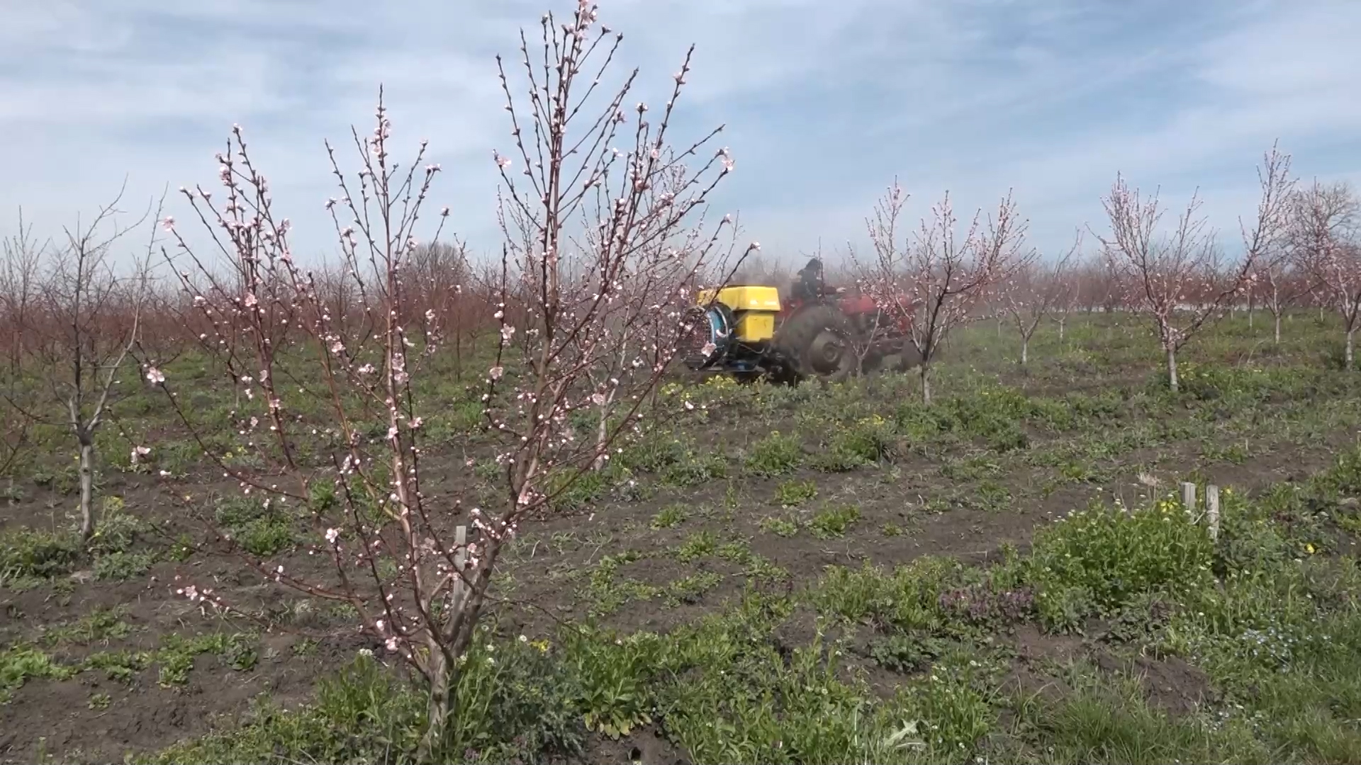 Pravilna primena kjučna pri upotrebi pesticida