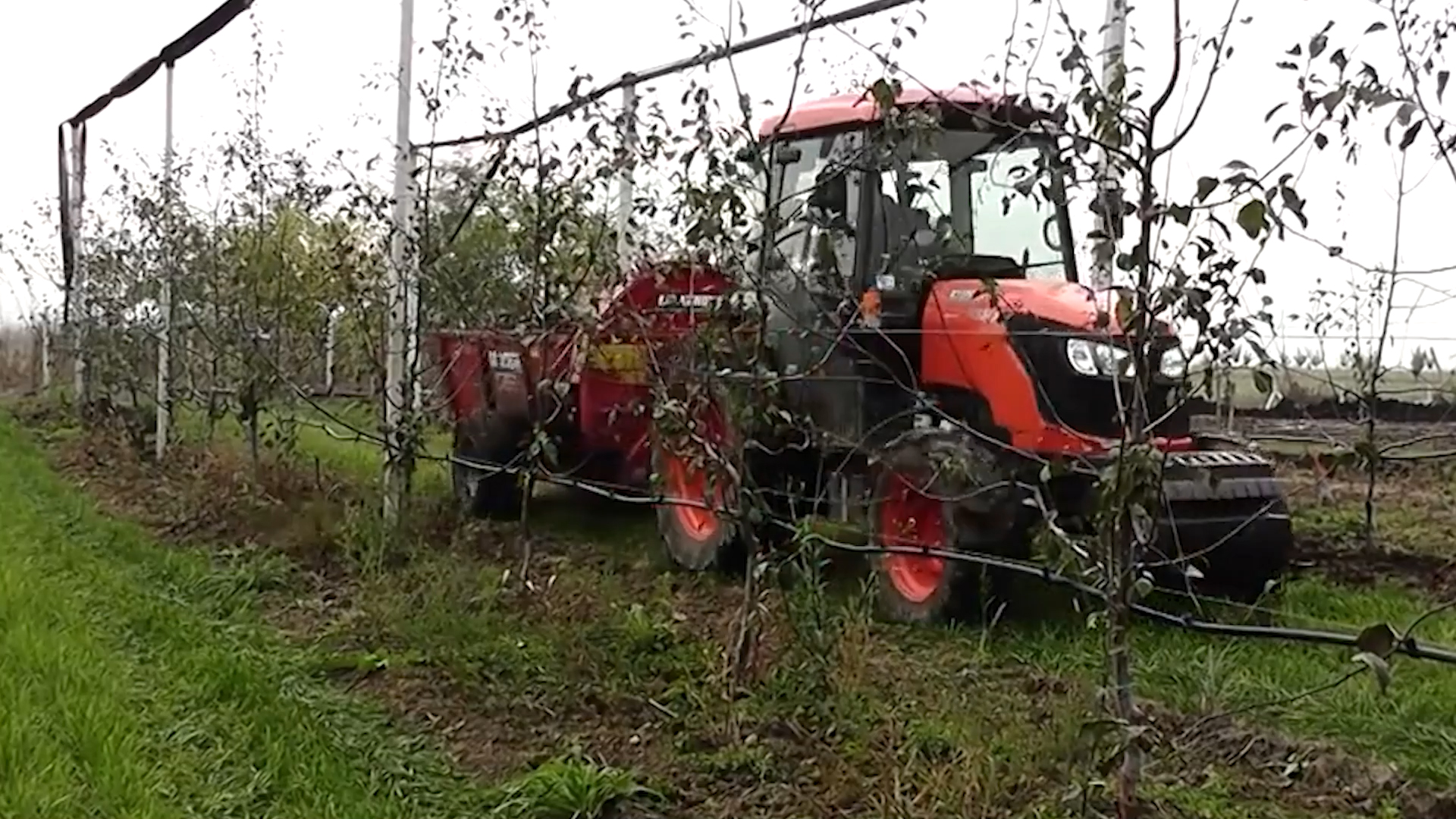 Đubrenje voćnjaka ključno za visok prinos i kvalitet plodova