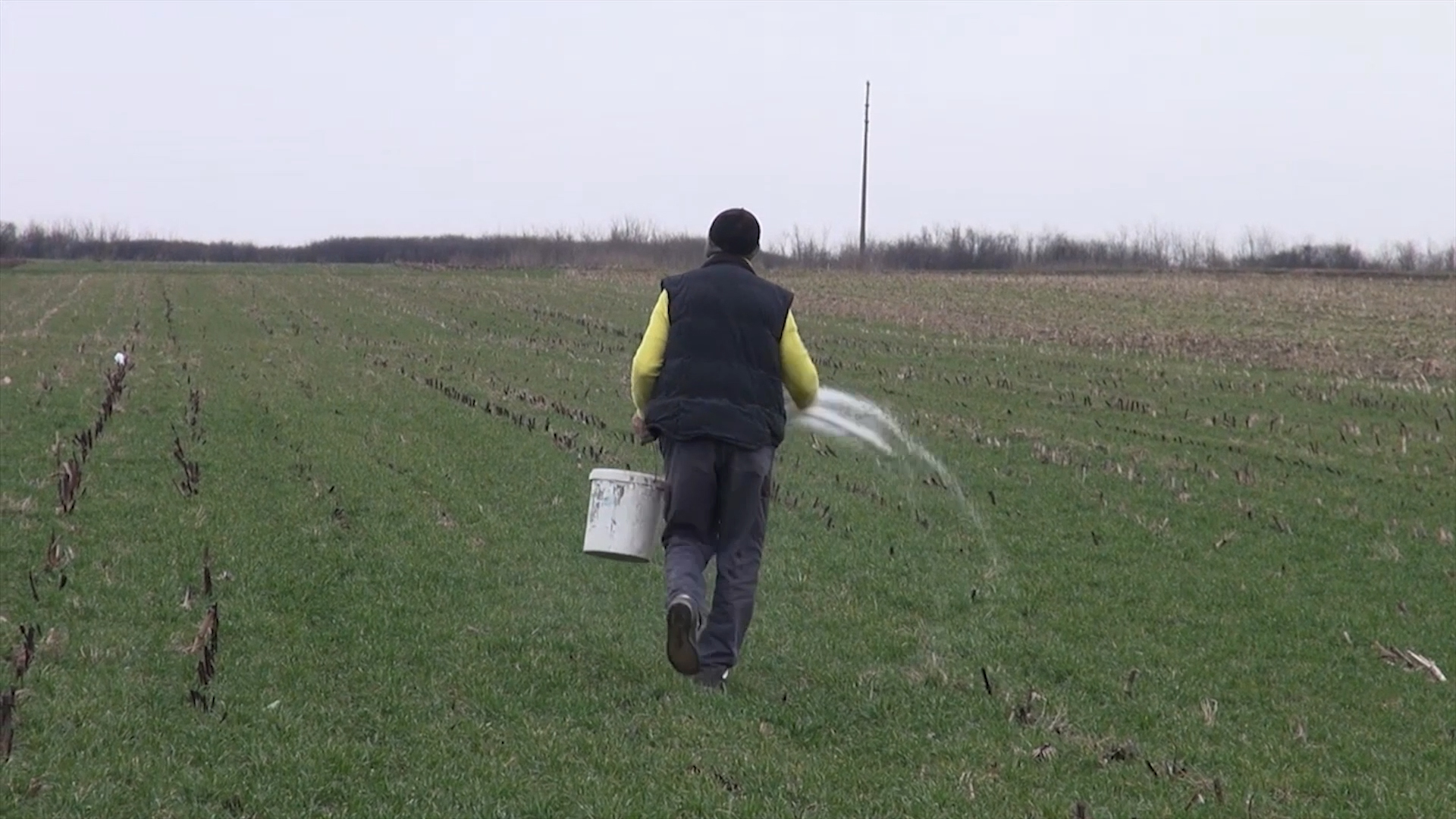 Pravovremena i pravilna agrotehnika ključna za prezimljavanje strnih žita