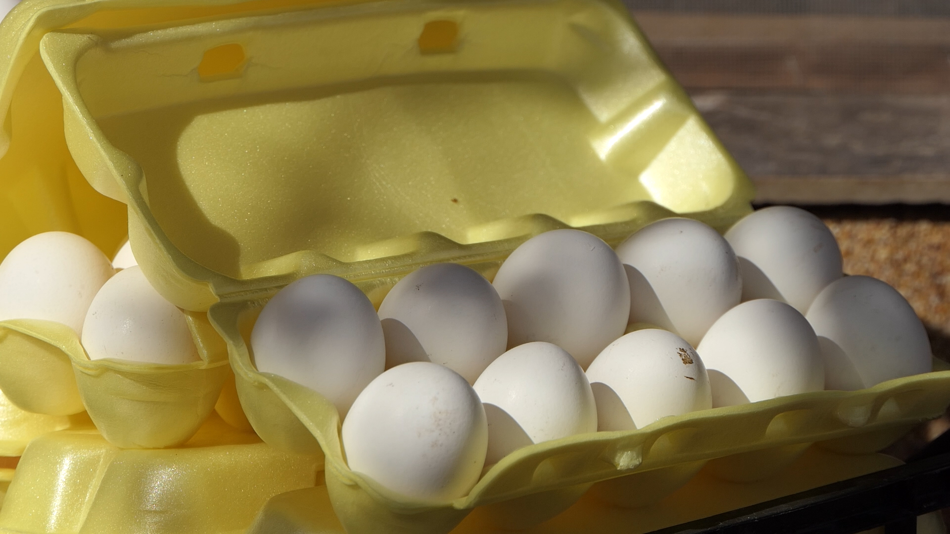 Bela kokošja jaja sve popularnija, organski uzgoj se širi